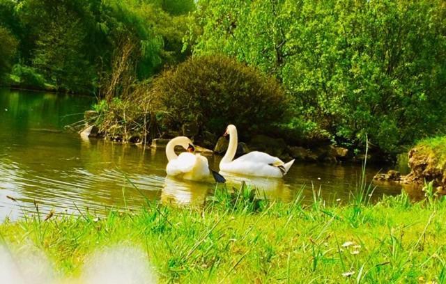 Domaine D'Aveluy Bed & Breakfast エクステリア 写真